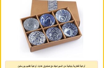 أوعية فخارية يابانية من السيراميك مع صندوق هدايا، أوعية تقديم بورسلين للأرز والحساء والحلوى والوجبات الخفيفة من سكيلانج، 300 مل، 6 قطع