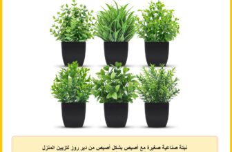 نبتة صناعية صغيرة مع أصيص بشكل أصيص من دير روز لتزيين المنزل والمكتب والمزرعة والحمام والرفوف الداخلية، مجموعة من 6 قطع