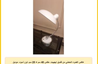 عاكس الضوء المعدني من قنديل ايجيبت، مقاس 40 سم × 25 سم، لون أسود، موديل C1، لون أبيض
