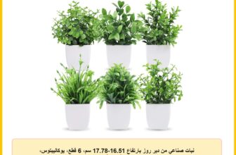 نبات صناعي من دير روز بارتفاع 16.51-17.78 سم، 6 قطع، يوكاليبتوس، متنوع، أبيض-أخضر