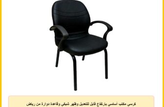 كرسي مكتب أساسي بارتفاع قابل للتعديل وظهر شبكي وقاعدة دوارة من رياض جروب، لون أسود