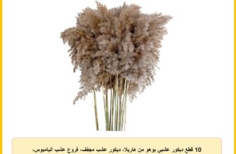 10 قطع ديكور عشبي بوهو من هاريلا، ديكور عشب مجفف، فروع عشب البامبوس، 30-40 سم